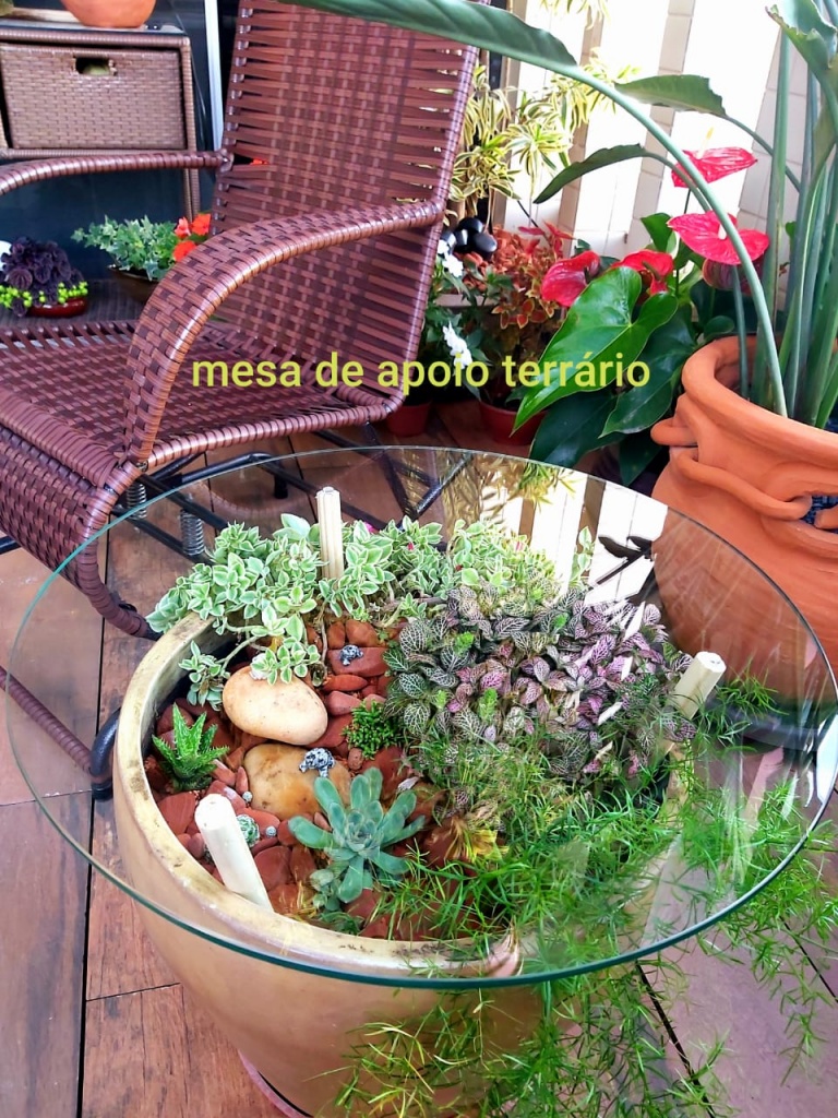 Mesa de Apoio Terrário
